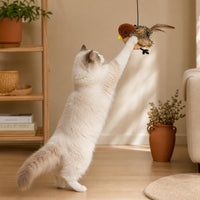 Gato ragdoll estirándose para atrapar el Gorrión de PawsAddict