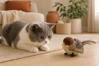 Gato britanico gris observando el pajaro en el salon
