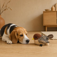 Perro beagle mirando el pajaro con curiosidad